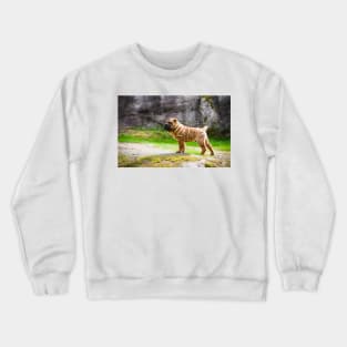 Shar Pei Puppy Crewneck Sweatshirt